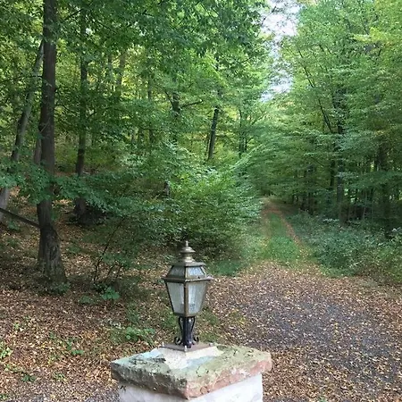 Naturhaeuschen Emelia Σπίτι διακοπών Sundern